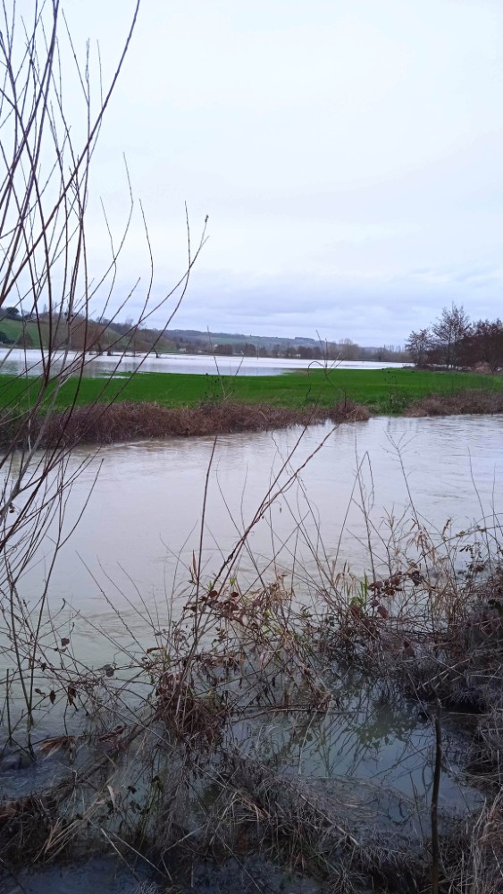 InondationSaintPierreDeClairac-8 InondationSaintPierreDeClairac-8