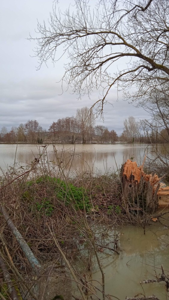 InondationSaintPierreDeClairac-9 InondationSaintPierreDeClairac-9