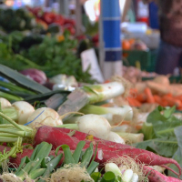 Marchés autour de Saint-Pierre-de-Clairac